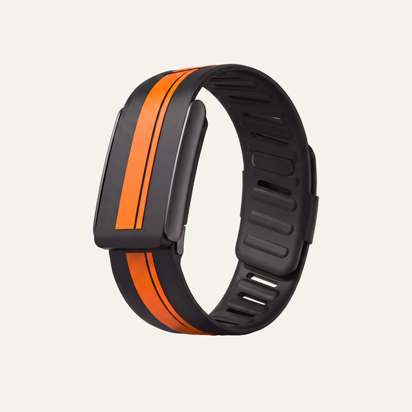 RaceStripe Band LeMans Noir