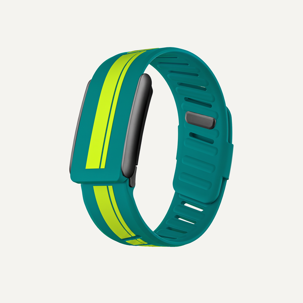 RaceStripe Band Teal Noir